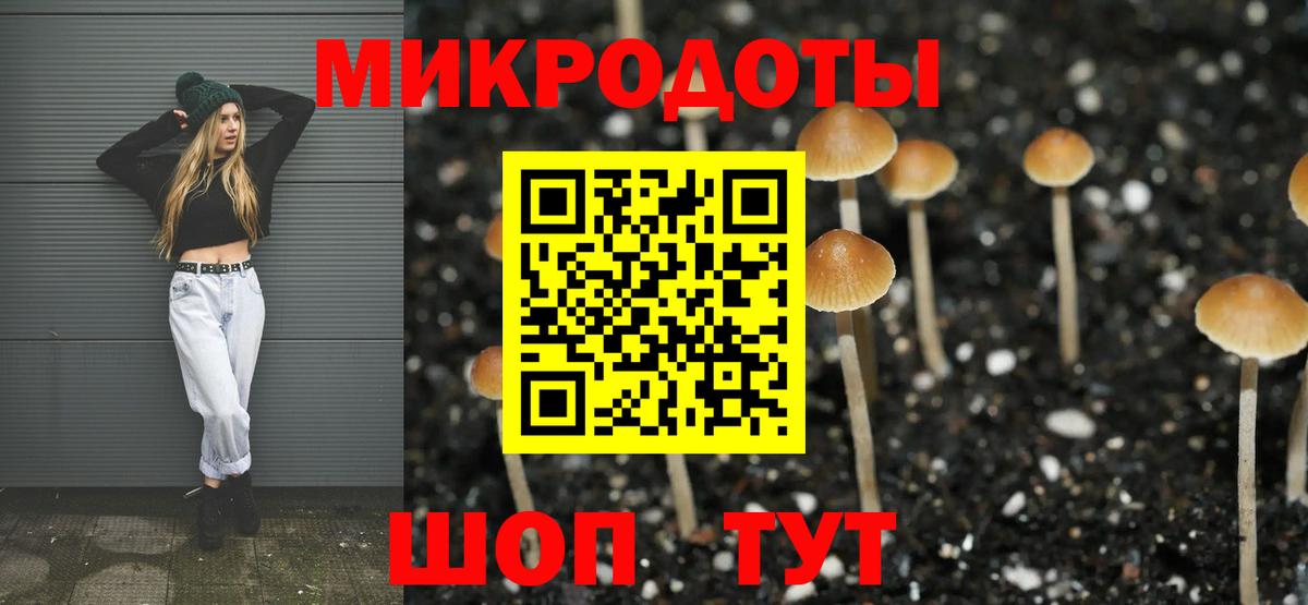 Галлюциногенные грибы GOLDEN TEACHER  где найти наркотики  Тобольск 